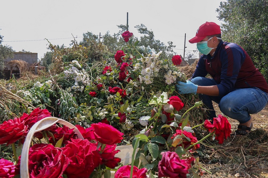 غزة-1.jpg غزة-1.jpg