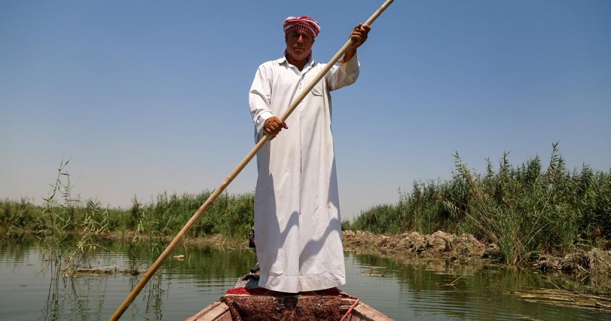 من سمم آلاف الأسماك في أهوار العراق؟