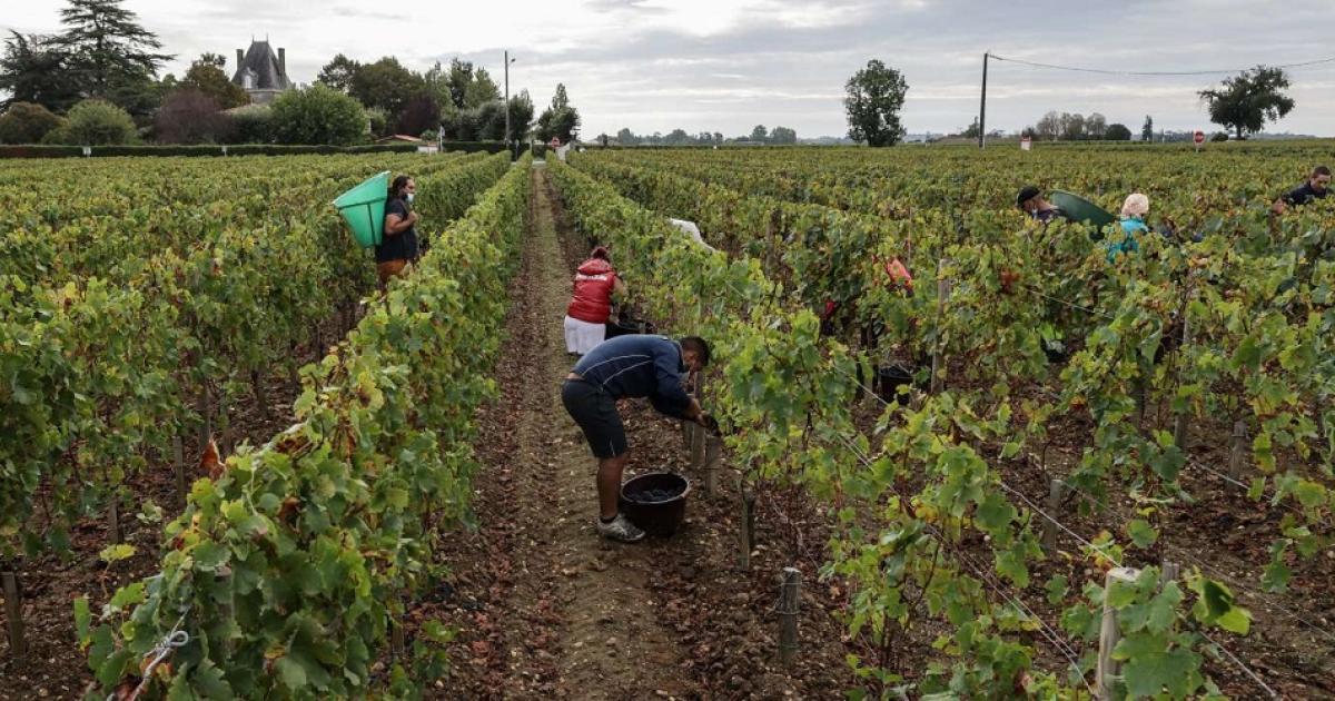 Le Maroc exporte des travailleurs agricoles saisonniers vers la France et l’Espagne