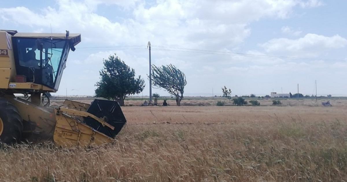 هجمات “داعش” وسط سوريا أحرقت أراضي القمح بمزارعيها