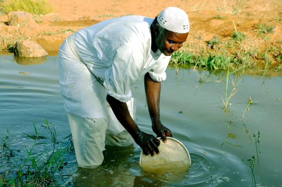 شح التمويل والوقود والأسمدة يهدد الموسم الزراعي الصيفي في السودان