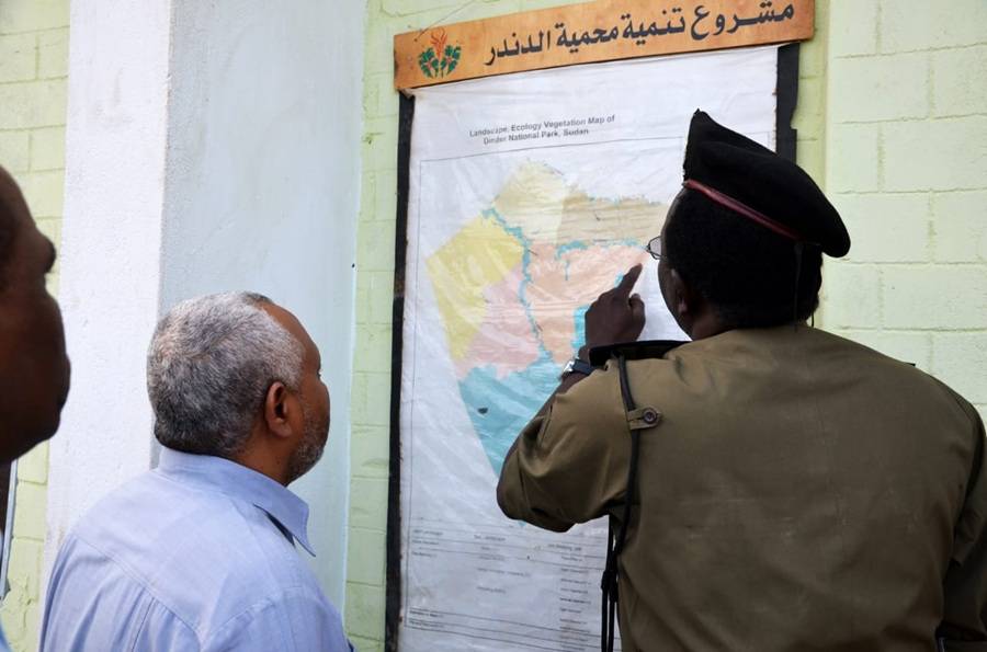 السودان يطلق خطة طموحة لإنقاذ حدائق الحيوانات بـ10 ملايين دولار بعد دمار الحرب