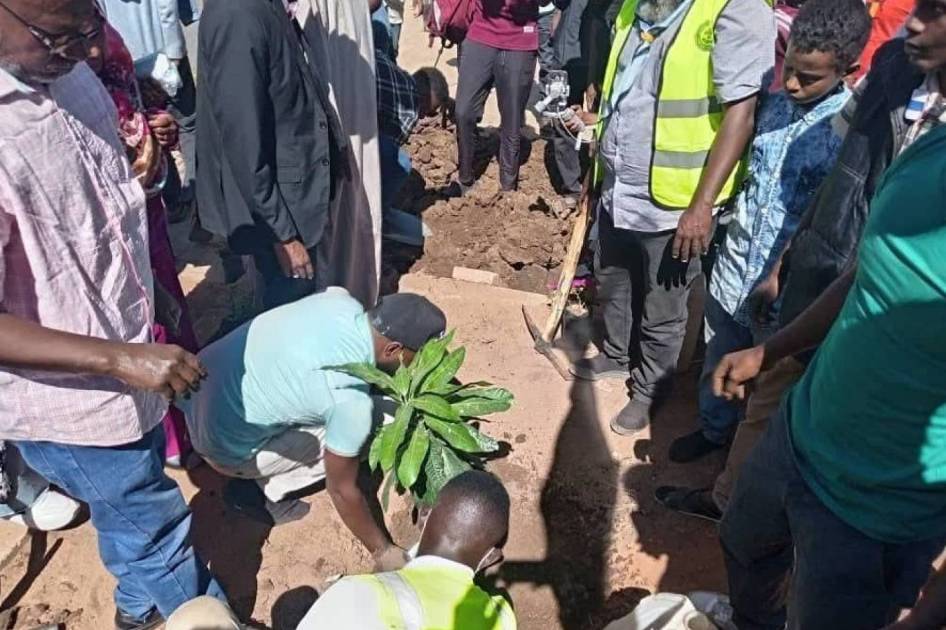 الخرطوم تشرع في إعادة تأهيل بيئتها بعد الحرب: أشجار بدل القذائف