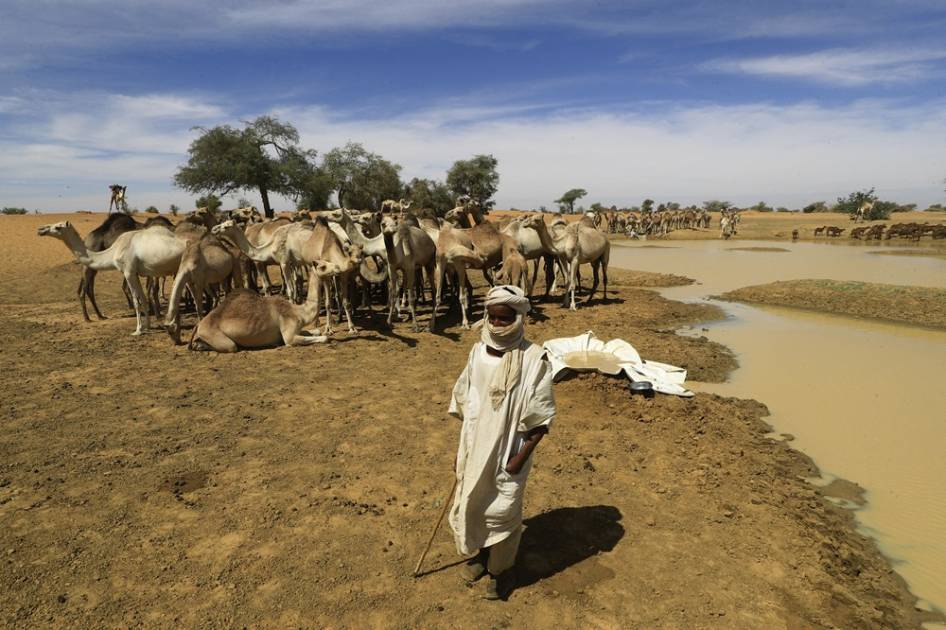 الجيش السوداني يحقق تقدمًا استراتيجيًا في الكرمك ويضيق الخناق على الجنينة
