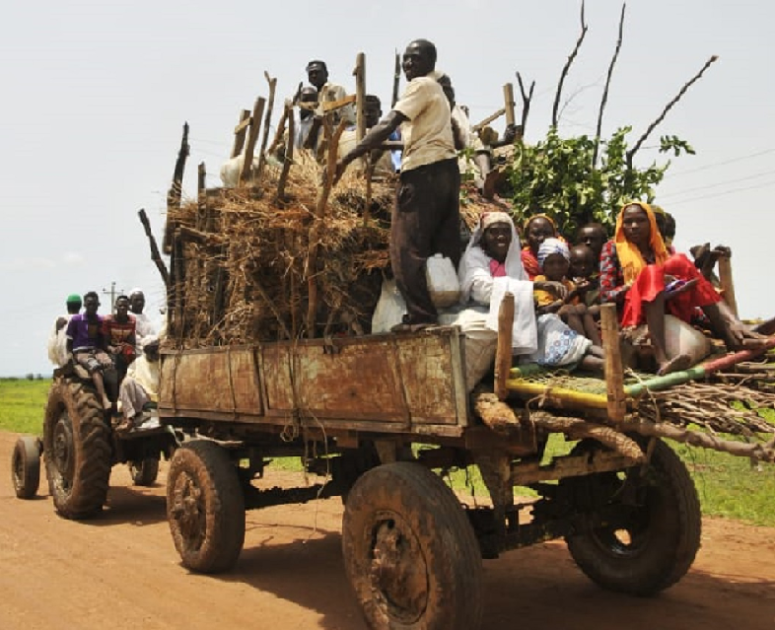 الجيش السوداني يستعيد بلدتين استراتيجيتين في دارفور والنيل الأزرق