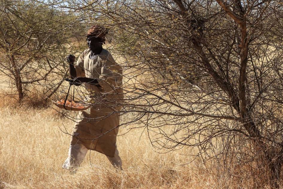 الصمغ العربي وقود الحرب في السودان: الأمم المتحدة تحذر من تداعيات التجارة