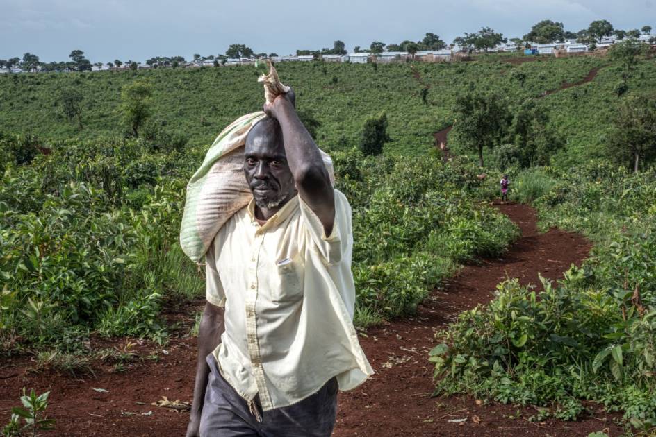 لاجئو السودان: العودة إلى ديار الحرب خيار مؤجل في ظل انهيار الخدمات والثقة