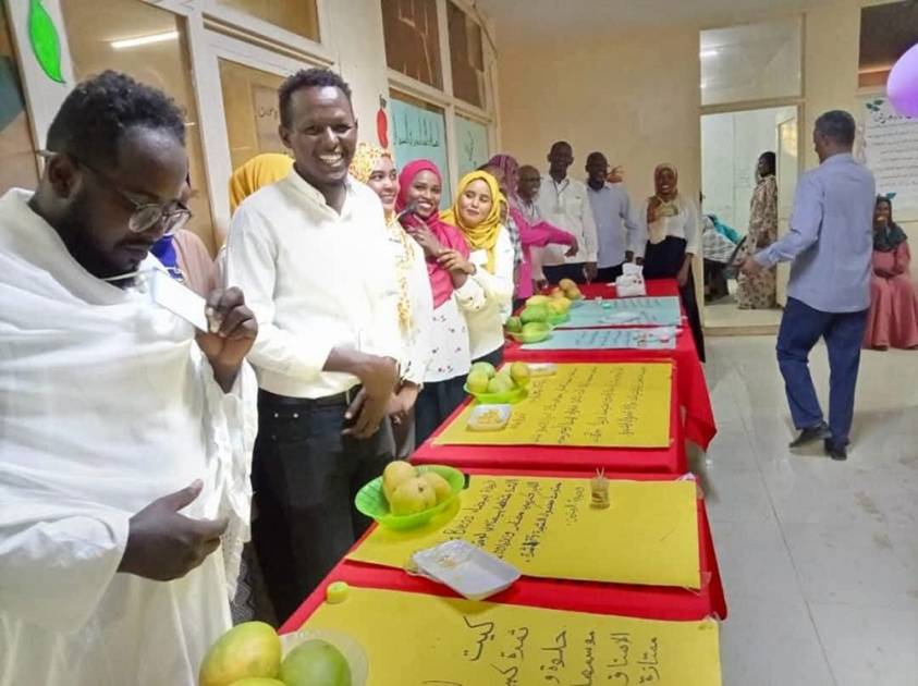 تلف المانغو يعرض مزارعي شمال السودان لخسائر فادحة
