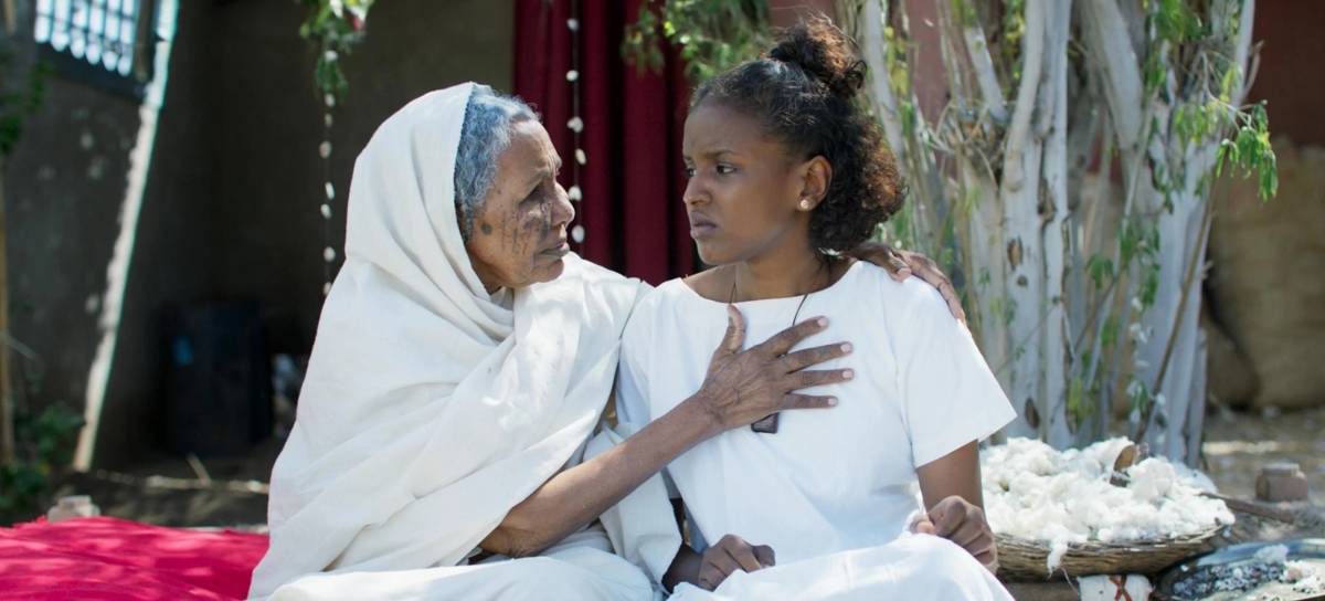 "ملكة القطن"... حقل يبتلع حكاية السودان