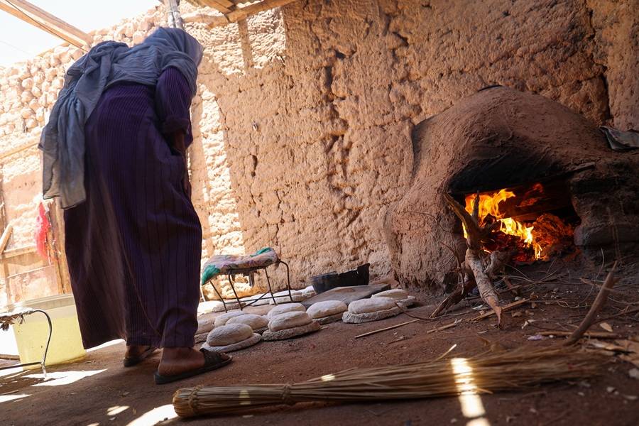 غابات السودان تدفع ثمن رغيف الخبز