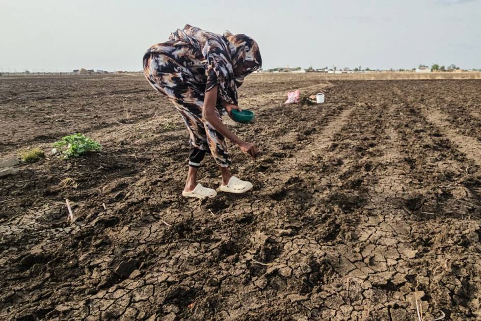 خريف السودان: أمطار شحيحة ومساحات مزروعة متآكلة