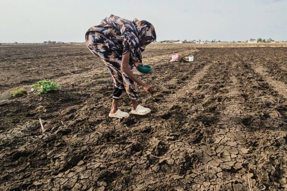 الريف السوداني على محك التعافي بعد خراب الحرب