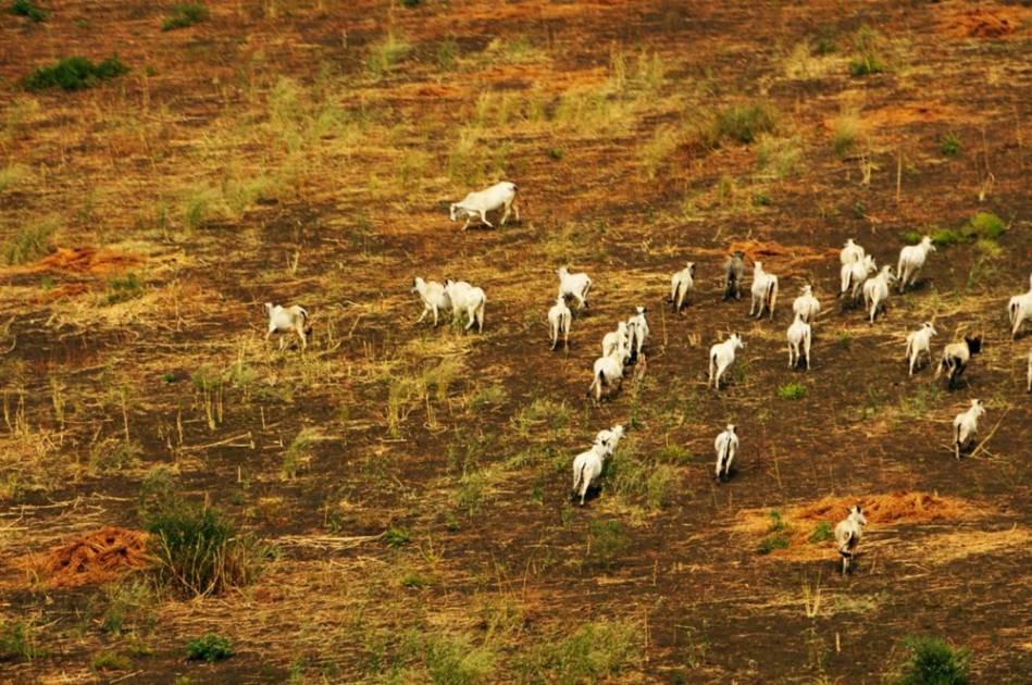 شح الأمطار والجفاف يهددان الأمن الغذائي في السودان