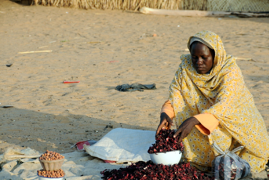 نفاد المساعدات الغذائية يرفع مستويات الجوع في السودان