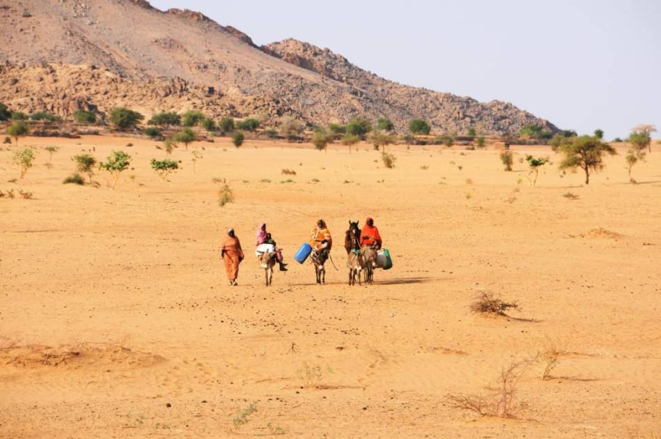 فارون من القتال في شمال دارفور بلا طعام أو مأوى
