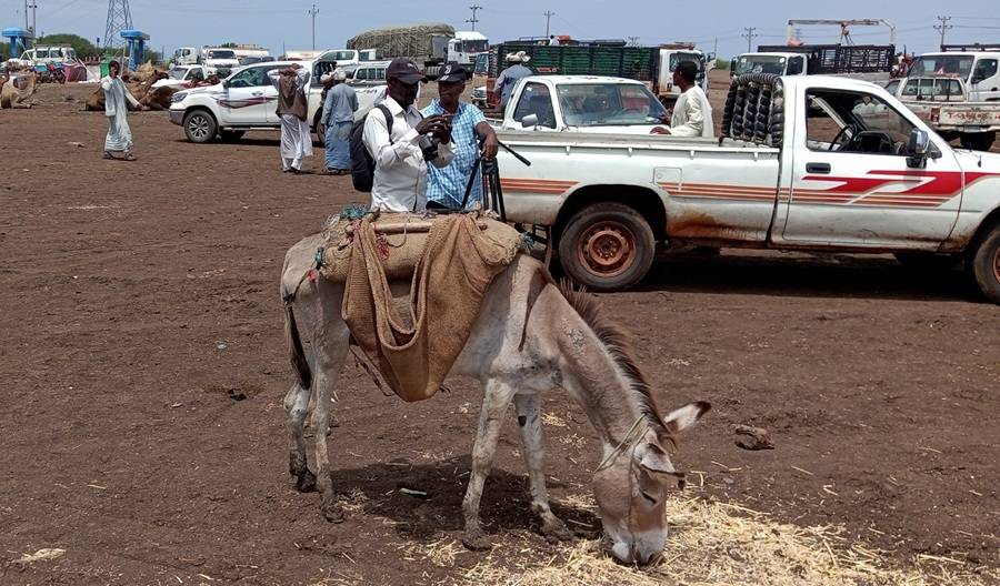 لماذا لم تتراجع الأسعار على رغم انخفاض التضخم في السودان؟
