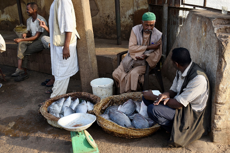 انتعاش حركة الصيد في السودان يعيد الحياة إلى أسواقها التاريخية