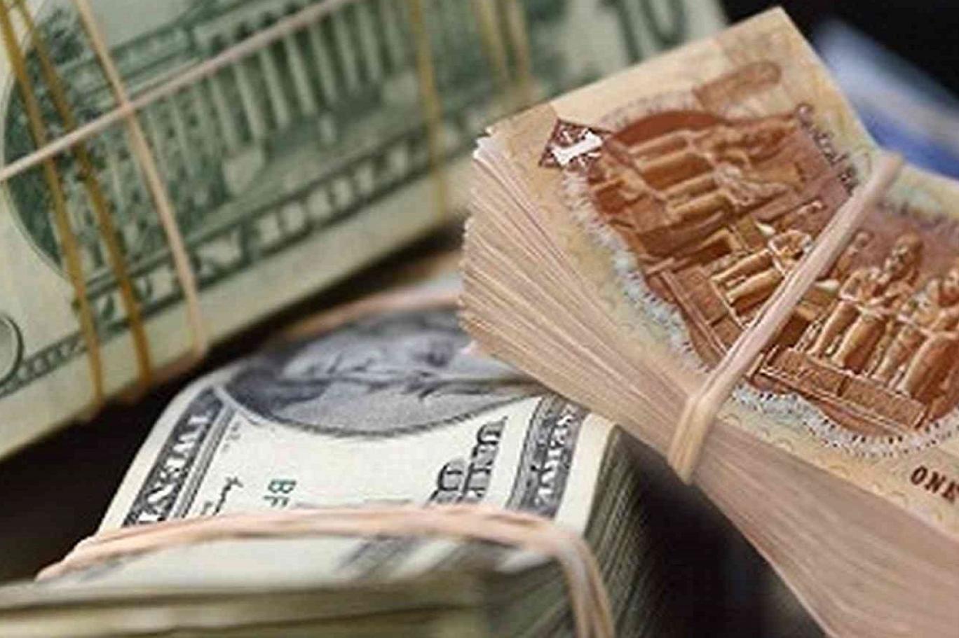 تسعير المنتجات والخدمات بالدولار محظور وحماية المستهلك تنصفك