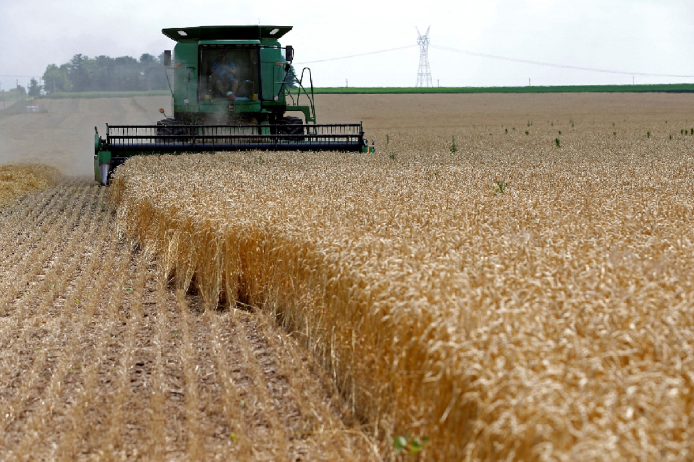 10 دول فقط تضم ثلثي المتضررين من الأزمات الغذائية في العالم