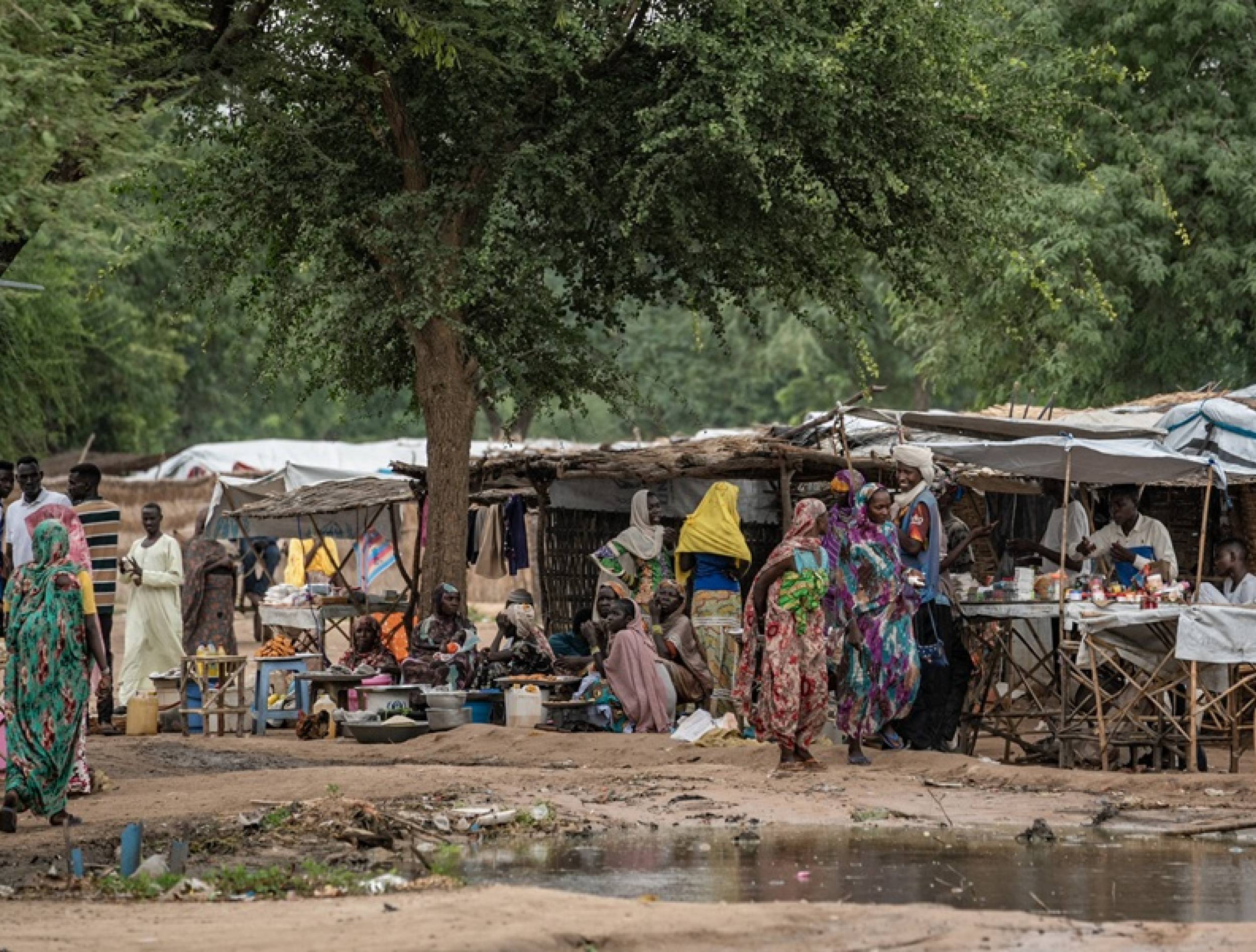 أسواق النزوح اقتصاد جديد يتشكل مع حرب السودان