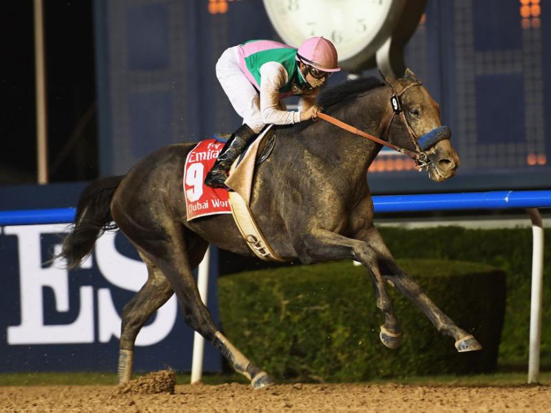 كالنجم إذا هوى... نهاية حزينة لأسطورة الخيل "أروغيت" | اندبندنت عربية