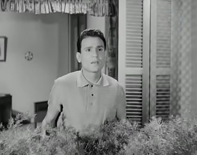 عبد الحليم حافظ في مشهد من فيلم "البنات والصيف"، إنتاج 1960. (السينما.كوم)