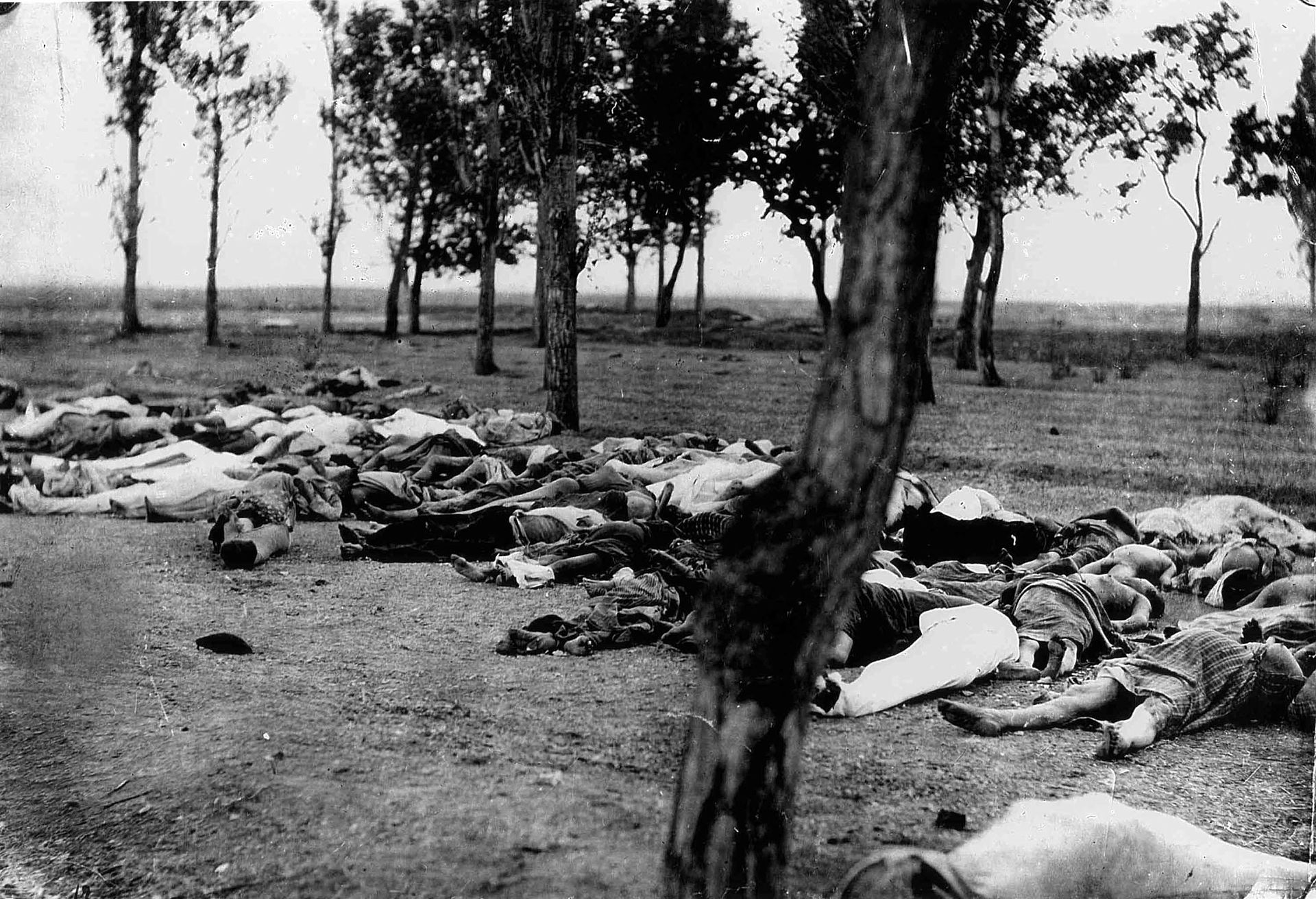 مقتل الأرمن خلال الإبادة الجماعية الصورة مأخوذة من قصة السفير مورجينثاو كتبها هنري مورجينثاو الأب ونشرت في عام 1918 الأصل (ويكيميديا)