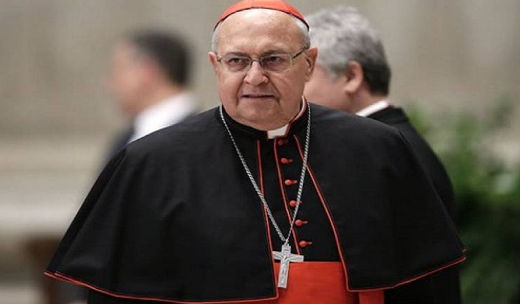 ممثل البابا.png