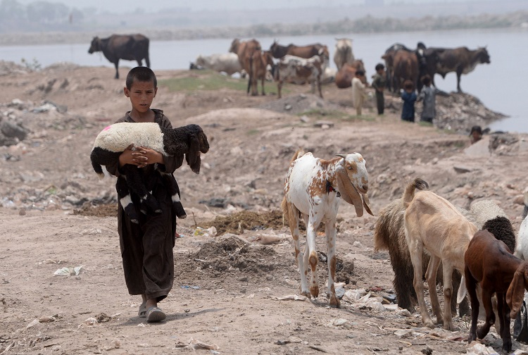 Afghan refugee boy afp.jpg