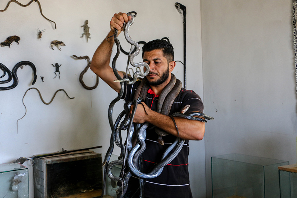 يعيش الفلسطيني عبد الفتاح عسلية في قطاع غزة (أحمد حسب الله)