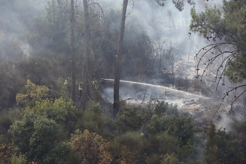 Dibbiyeh reuters.JPG