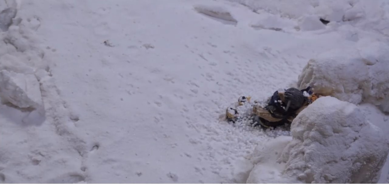 مشهد من فيلم التشرنق.jpg