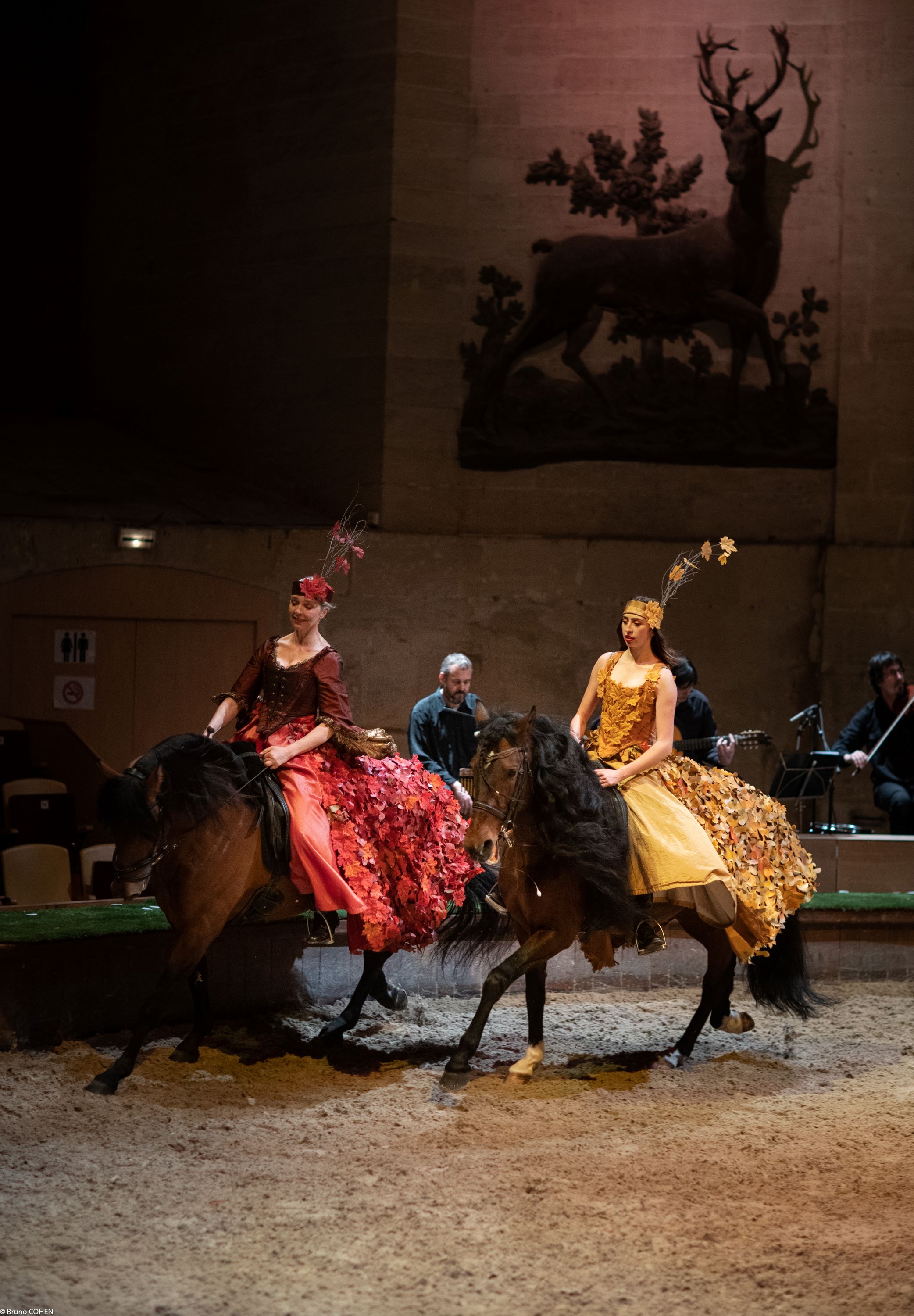 خيول شانتيي 22.jpg