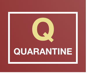 كرنتينا هدى عمران.png