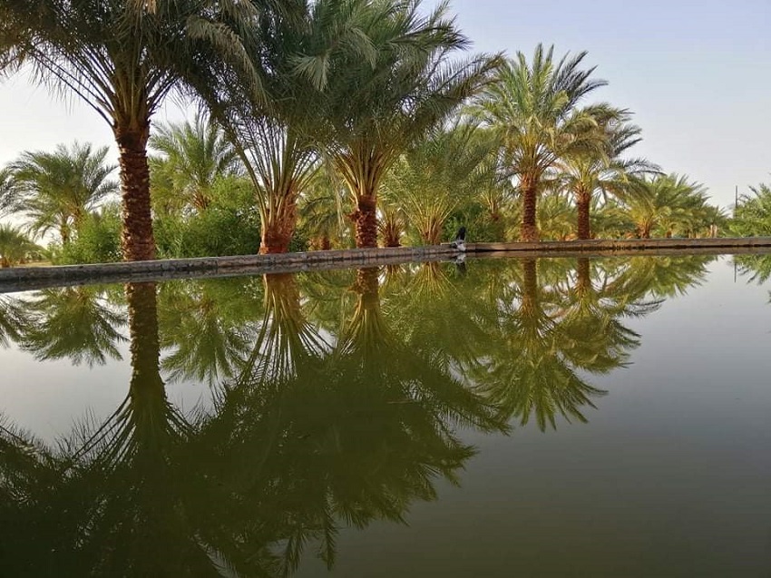 الجزائر 3.jpeg