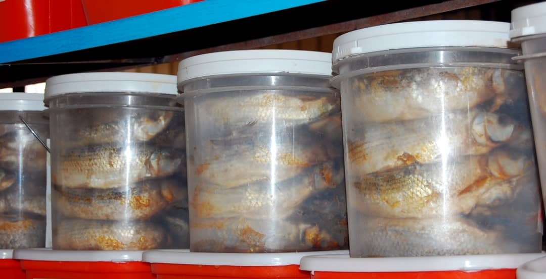 وجبة التركين (حسن حامد).jpg