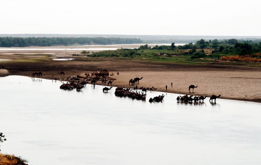 اعالي نهر عطبرة على الحدود (حسن حامد).jpg