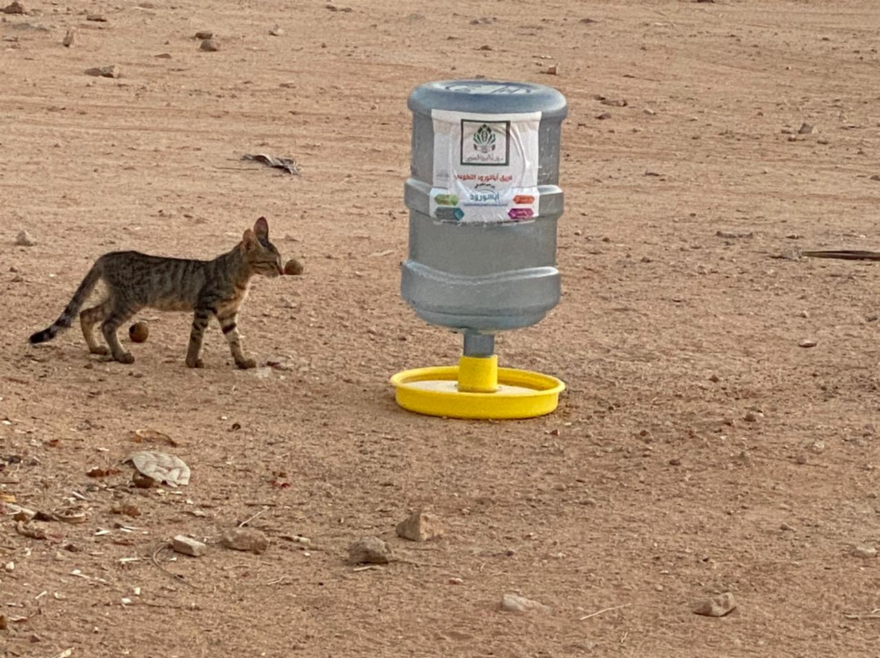 تستهدف الحملة الحيوانات في المناطق الجافة والبرية (اندبندنت عربية)