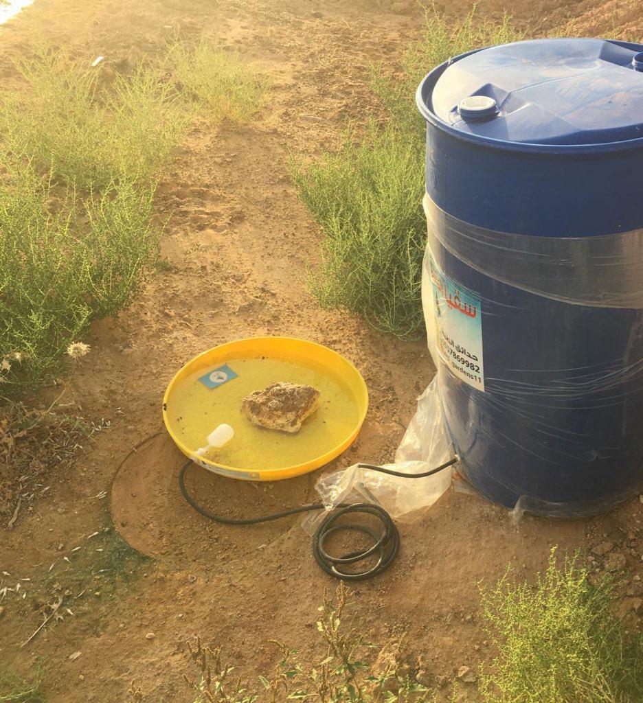 يقدم الفريق التطوعي المياه والطعام للحيوانات في الأودية والمناطق الجافة غير المأهولة (اندبندنت عربية)