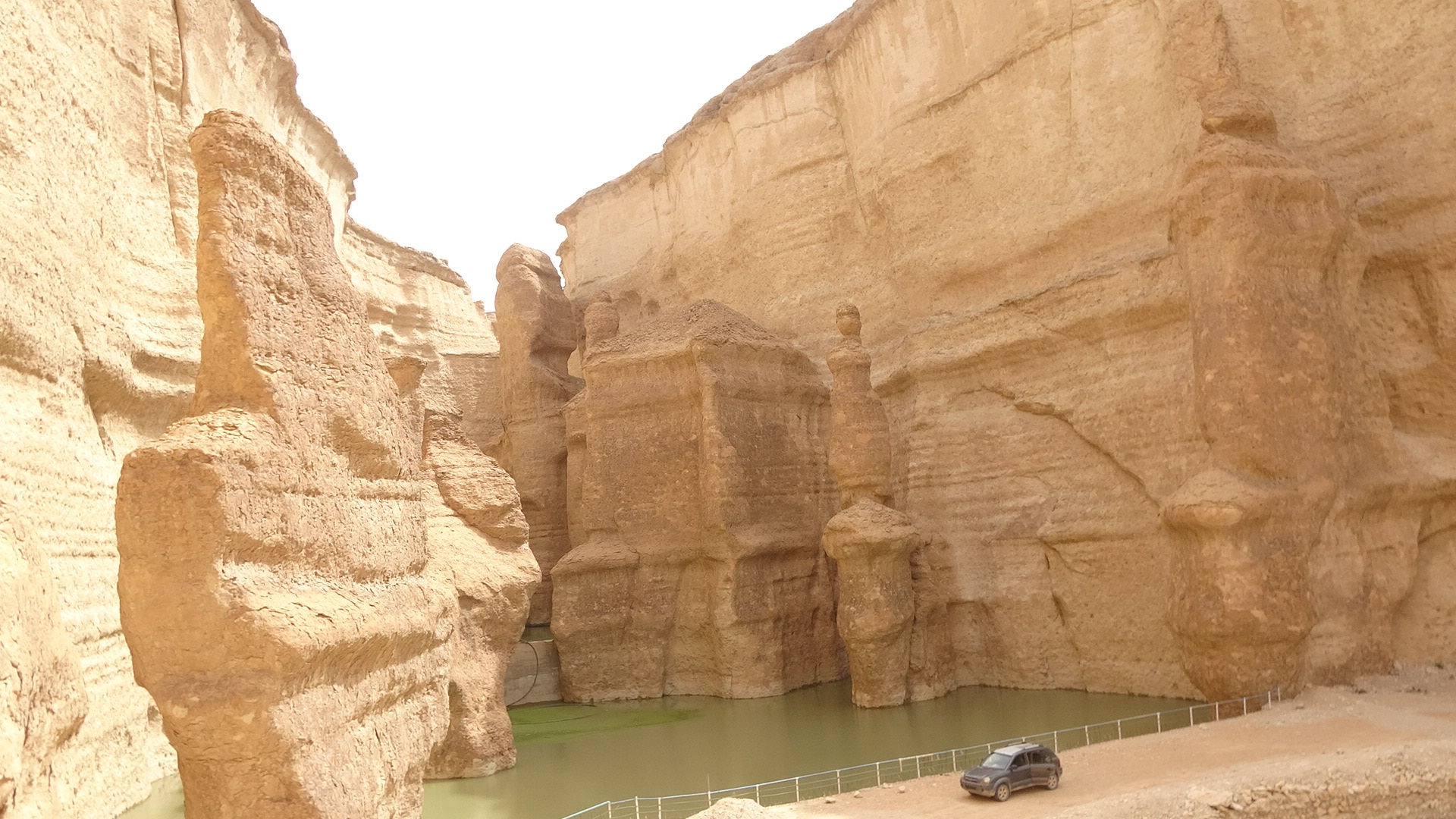 الدغثور تحفة ربانية.JPG