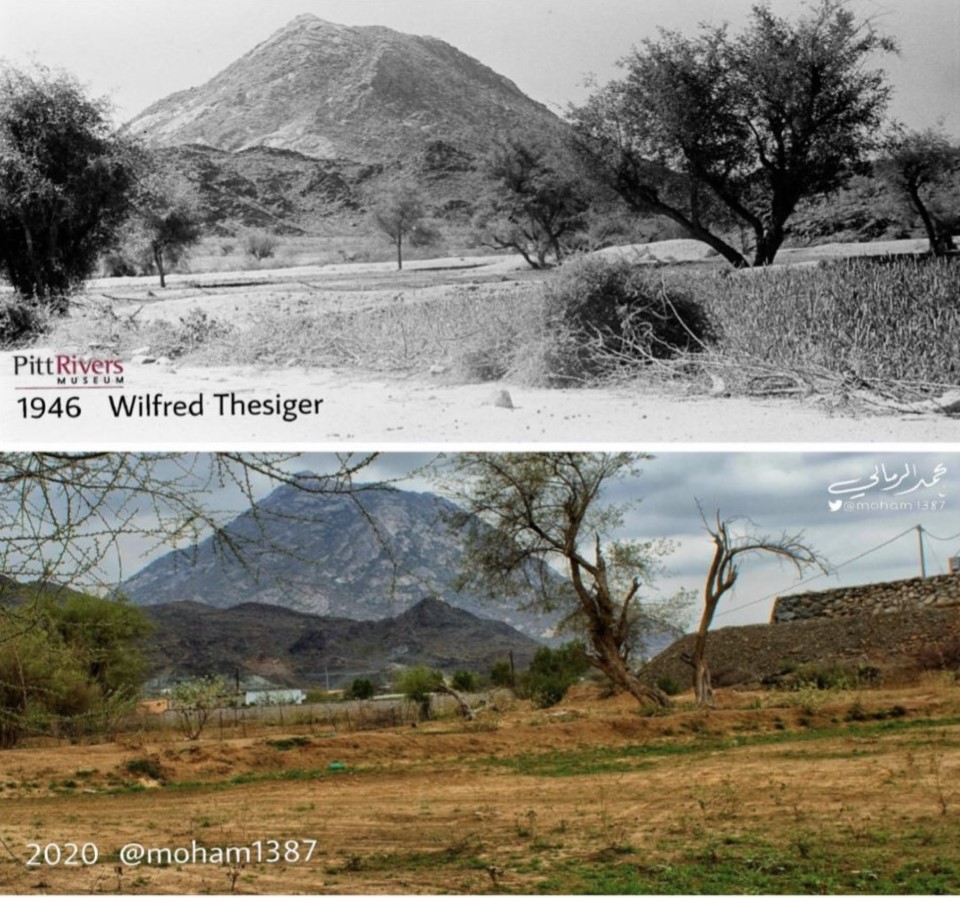 صورة التقطها الرحالة البريطانية ويلفريد ثيسيجر في المخواة جنوب السعودية عام 1946 مقابل صورة حديثة للرمالي في 2020 (المصور والباحث محمد الرمالي)