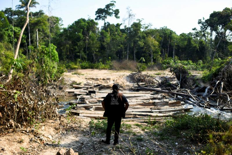 اجتثاث الغابات ضمن أراضي السكان الأصليين، في ولاية "بارا" البرازيلية أثناء مطلع خريف 2021 