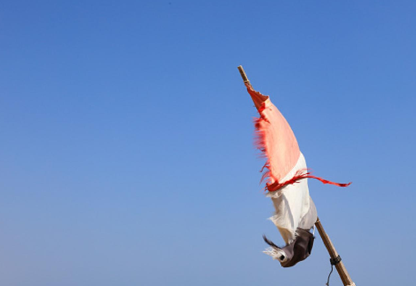 الشرعية اليمنية-الخميس.png