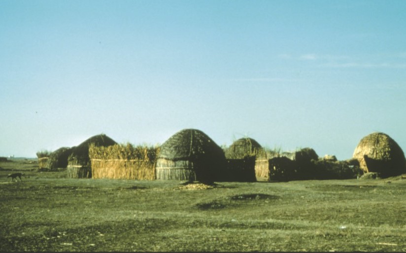 أكواخ القصب التي تبنيها القبائل العربية في طاجيكستان لمجتمعاتها (مركز التواصل المعرفي للدراسات)