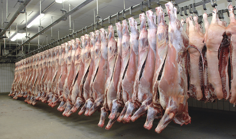 Small-abattoirs-should-be-given-financial-assistance.jpg
