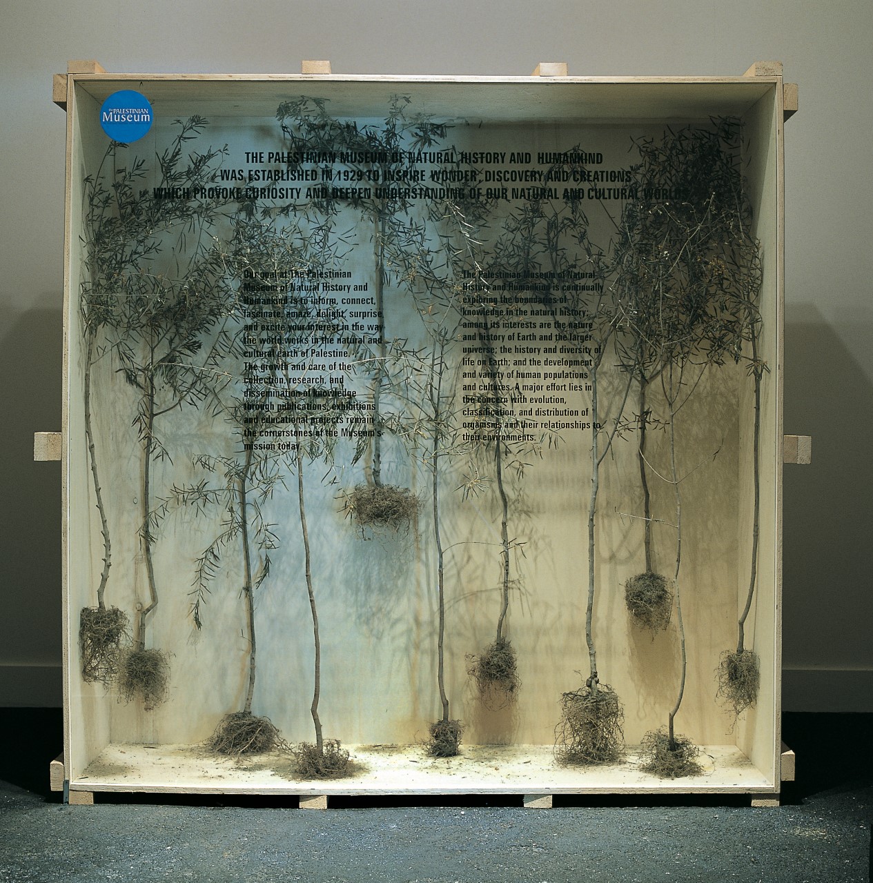 thumbnail_متحف فلسطين (1).jpg