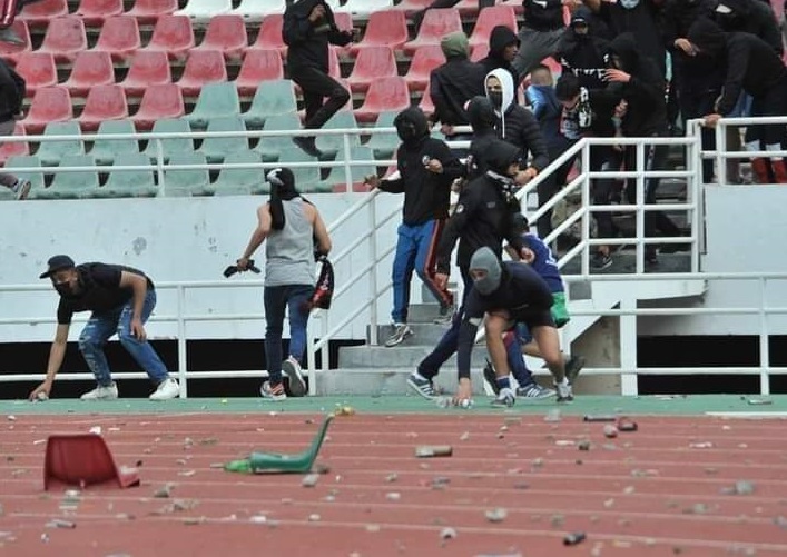 الأحد الأسد-2.jpg