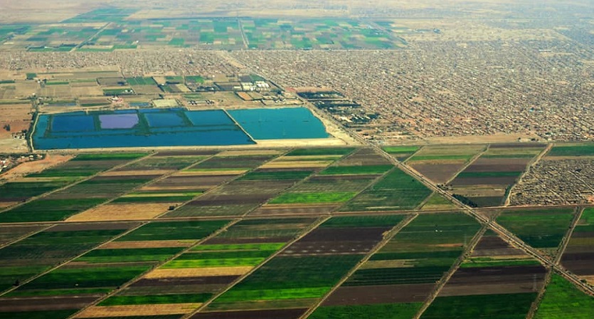 الزحف السكني على الاراضي الزراعية أحد المشكلات المستمرة (حسن حامد).jpg