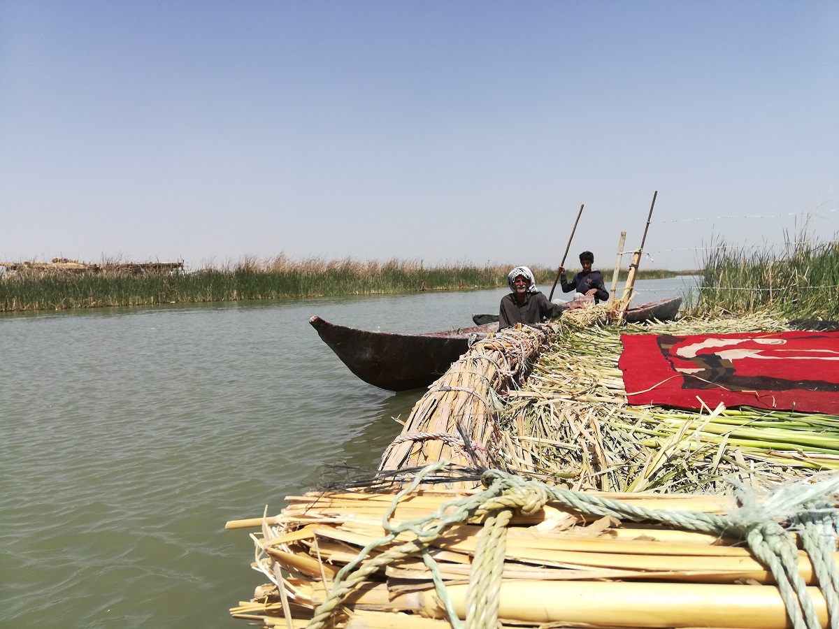 يعتاش سكان الأهوار على الصيد وتربية الجواميس والابقار (اندبندنت عربية)