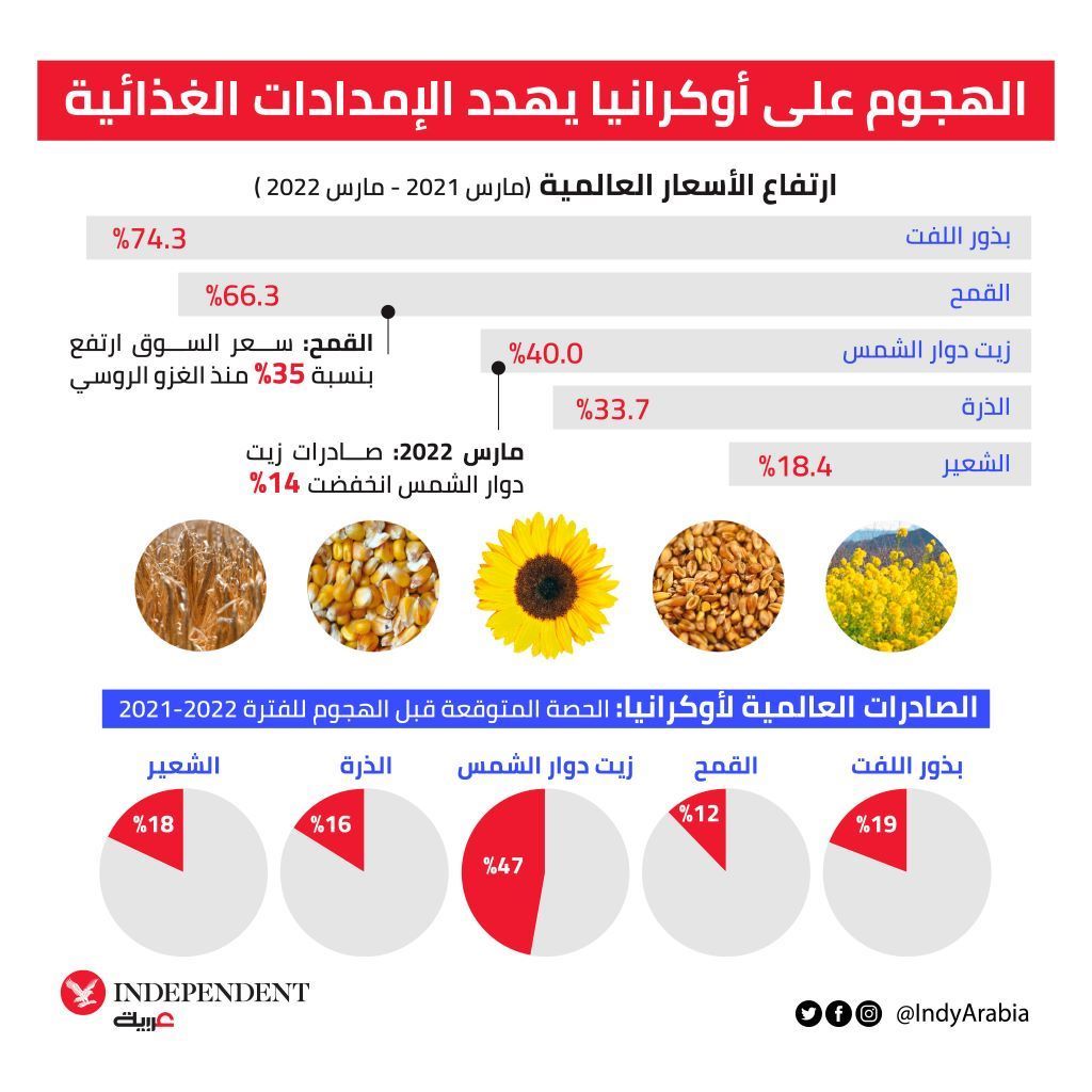 غراف غداء  .jpg